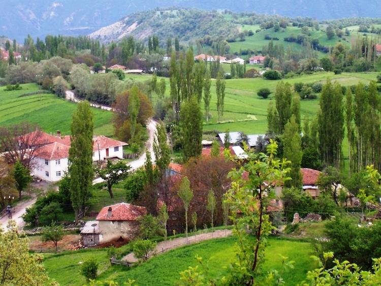 Tokat, Readiye, Glkonak ta bahar [Mehmet agman]