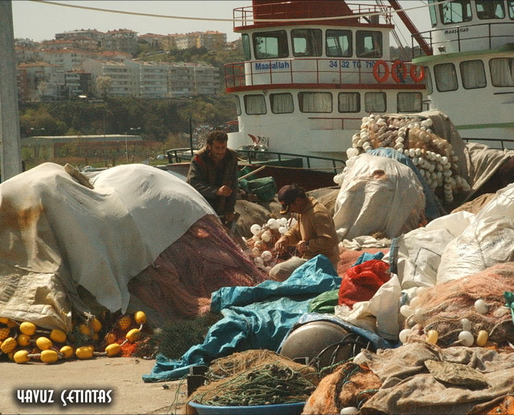 ileli Balklar [Yavuz etinta]